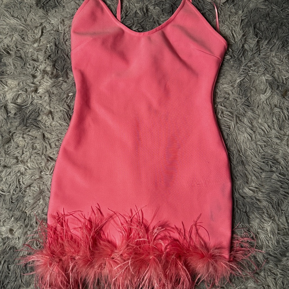 Fashion Nova Pink Feathered Mini Dress